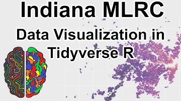 Indiana MLRC Seminar: Data Visualization in Tidyverse R