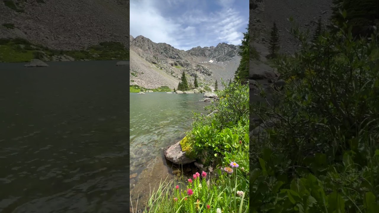 Peaceful Moments by a High Alpine Lake | Wildflowers, Mountains & Nature Sounds