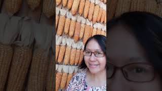 Download Lagu visiting big garden Eastern of Thailand 🌸🌷🌱 MP3