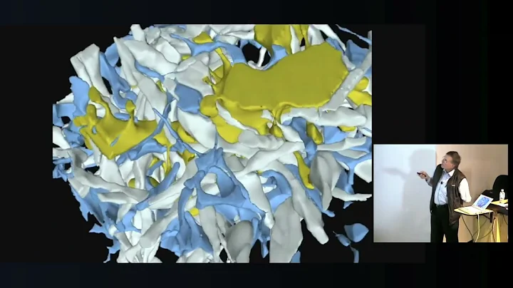 DSCI Seminar: Terrence Sejnowski, Space-time Computing in Dendritic Spines
