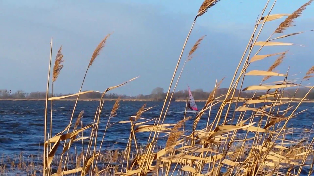 ☆ Surf and Skate Berlin ☆ windsurfing  Neujahrssurfen 2019 Wintersurfen 6-7Bft