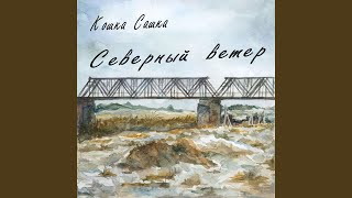 Стая - Кошка Сашка