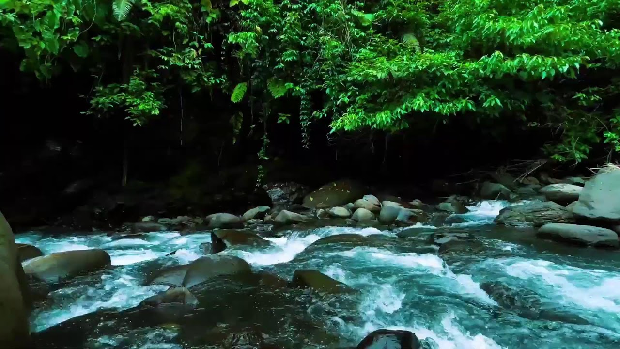 Dark Jungle River Flow – Deep Sleep Nature Sound with Rushing Water Sound