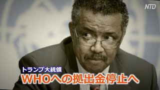トランプ大統領 WHOへの拠出金停止へ