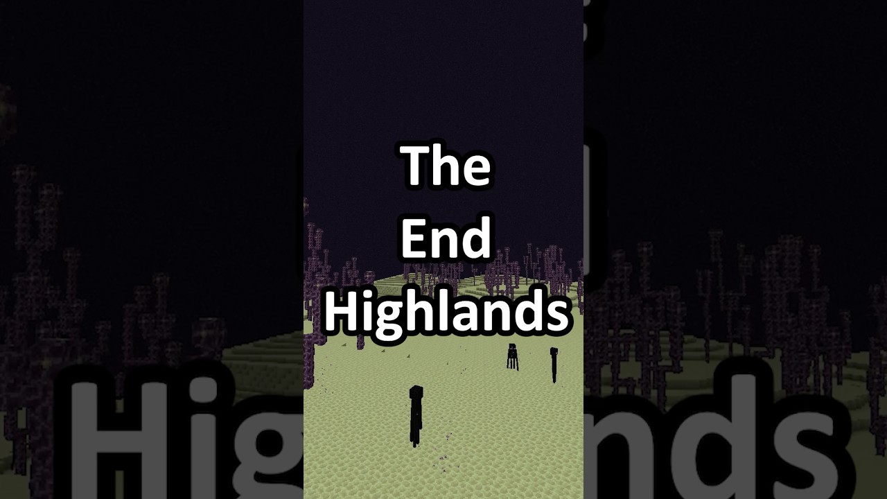 Which Minecraft Biome is the Best? Part 14: The End Highlands 