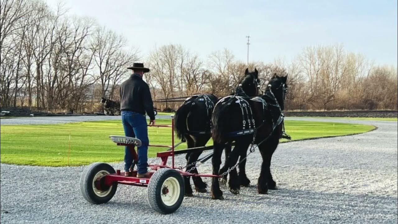 Kalona Spring Draft Horse & Carriage Sale April 22' Kalona, Iowa. YouTube