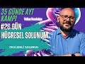 35 Günde AYT Biyoloji  |28.Gün| Hücresel solunum-Oksijenli solunum(animasyonlu) #yks2025