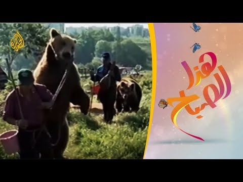 جولة في متنزه الدببة الراقصة في بلغاريا