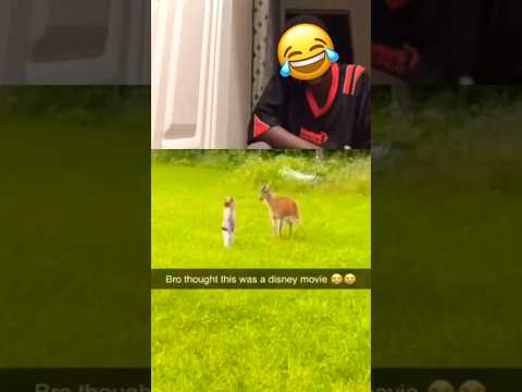 If you laugh,you subscribe😂😂😂