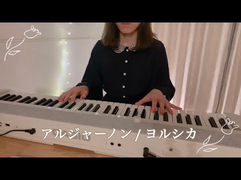 ドラマ『夕暮れに、手をつなぐ』主題歌　アルジャーノン / ヨルシカ (cover) ピアノ弾き語りby ネムノキ　#アルジャーノン #ヨルシカ #夕暮れに手をつなぐ #弾き語り #cover