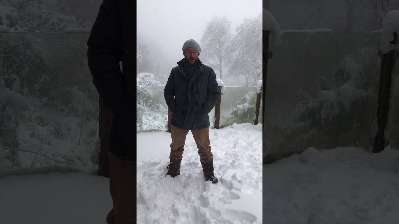 Peregrine Heathcote message introducing his show at Bonner David Galleries