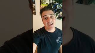 Classic VW BuGs 2022 Fall Foliage Cruise is ON! #shorts #shortsvideo