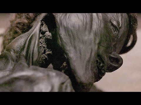 Forensic Test Reveals a Mummy's Travels Before Death Instructional Video