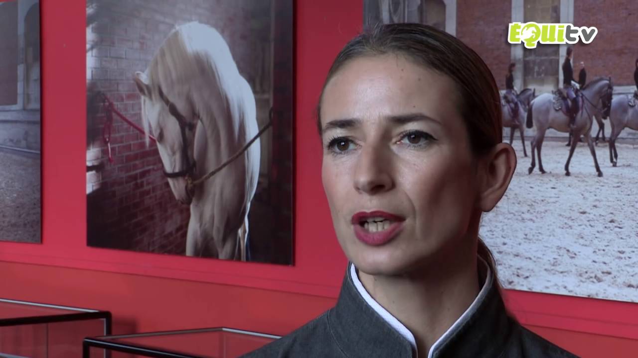 decouvrez lacademie equestre de versailles