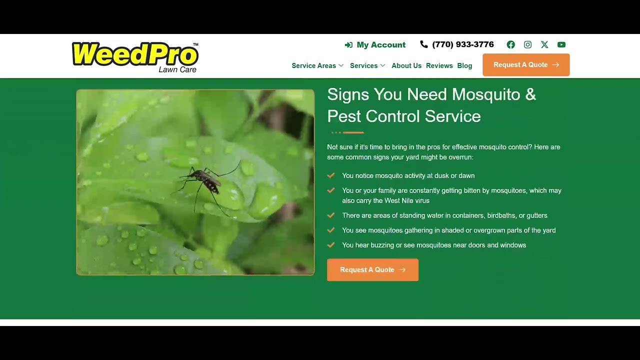 Mosquito Control Cumming GA | Weed Pro Lawn Care | Lawn & Pest Solutions Near You