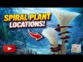 buy lavender plants Buy English Lavender Plants