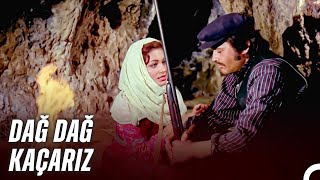 İki Gönül Bir Olunca Samanlık Seyran Olur Yanaşma