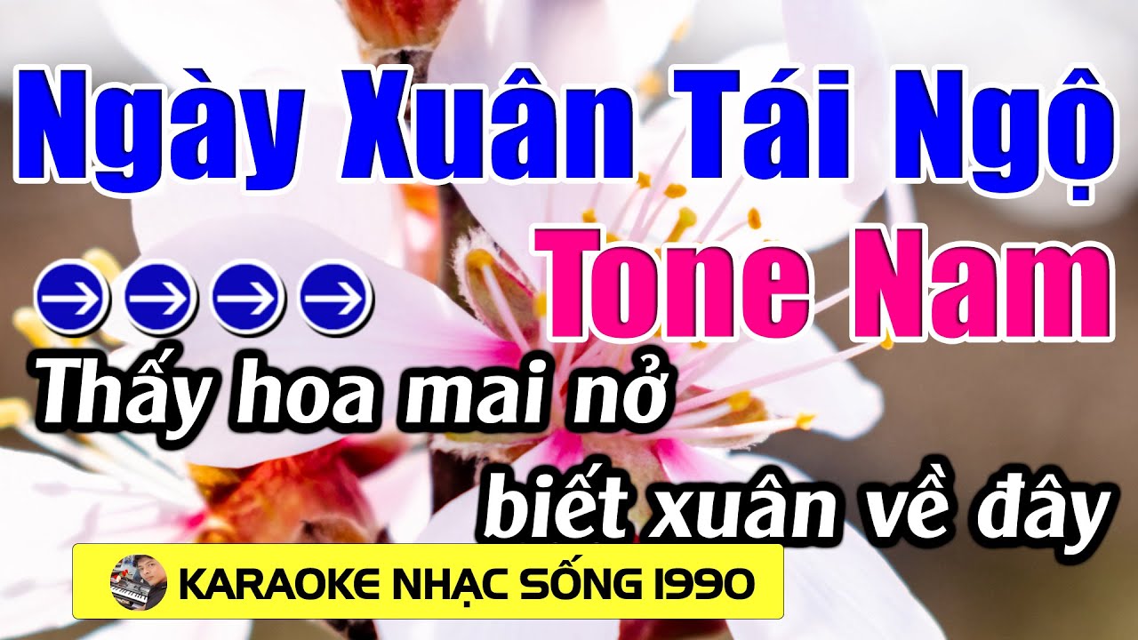 Ngày Xuân Tái Ngộ - Karaoke Tone Nam - Karaoke Nhạc Sống 1990 - Beat Mới