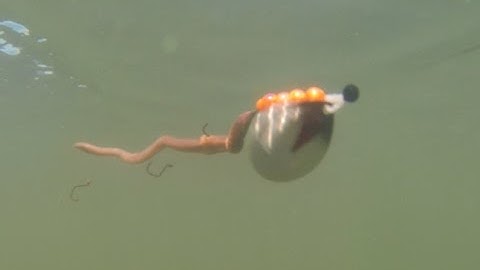 JB Lures Super Slow Death Spinner Rig