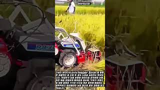 소형 농기계의 강력한 벼 예취 성능 #process #agriculture #machinery #farming #paddy