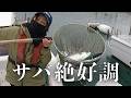 ［釣り］アジよりサバが熱い！佐賀関沖の漁のリアル映像