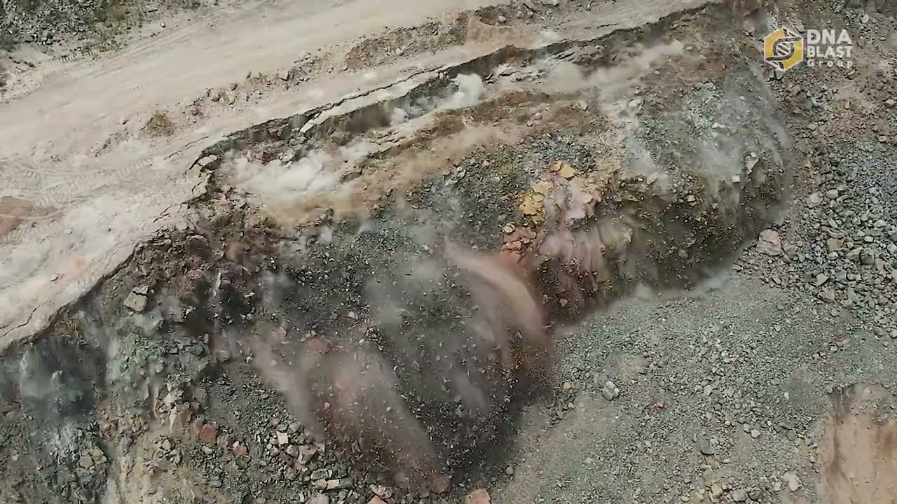 DNA Blast, RoundUp ISEE 2024