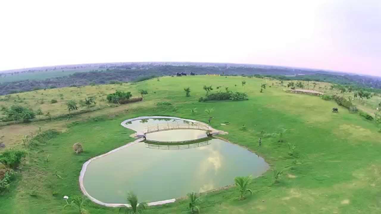 BANANA KINGDOM ARIAL SHOOT YouTube