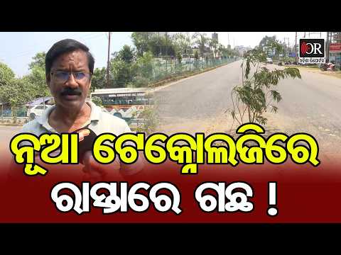 ନୂଆ ଟେକ୍ନୋଲଜିରେ ରସ୍ତାରେ ଗଛ | Odisha Reporter