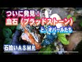 ついに発見!血石「ブラッドストーン」