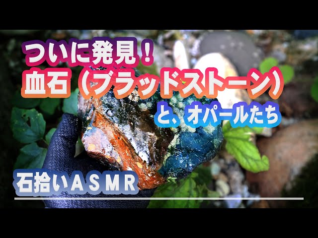 ついに発見！血石「ブラッドストーン」 - YouTube