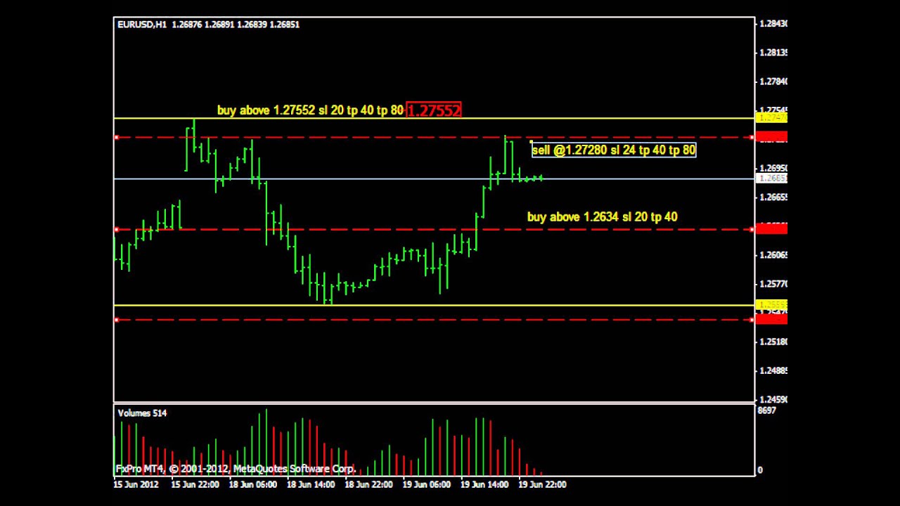 forex bank flow signals
