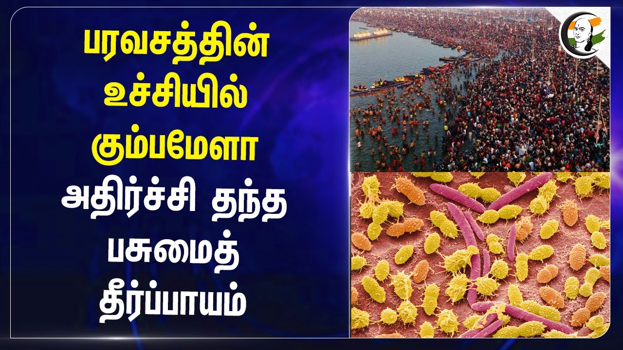 பரவசத்தின் உச்சியில்  Kumbh mela.. அதிர்ச்சி தந்த பசுமைத் தீர்ப்பாயம் | Uttar Pradesh | Bacteria