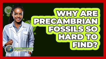 Why Are Precambrian Fossils So Hard To Find? - Earth Science Answers