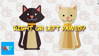 Right or Left Handed Cats? | Animal Facts  Cat Facts