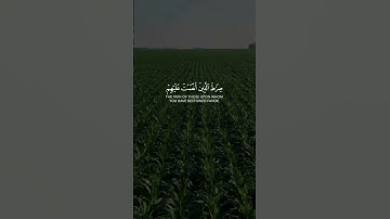تلاوة هادئة من سورة الفاتحة