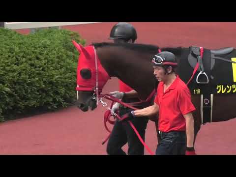 2019 ＢＳＮ賞（L） パドック 現地映像 アイファーイチオー