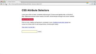 Basic Attribute Selectors in CSS