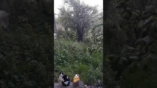 Menfaatsiz Dünya için...
