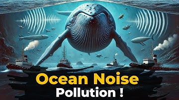 Ocean Noise Pollution | Silent Killer of Marine Life | The Planet Voice