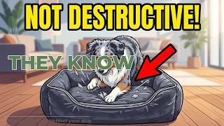 Cats Know Their Name (The Real Reason They Ignore You)