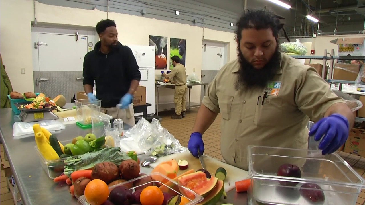 Zoocademy Nutrition Center Zoo Miami YouTube