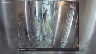 Surveillance video shows head brewer getting power washed with IPA