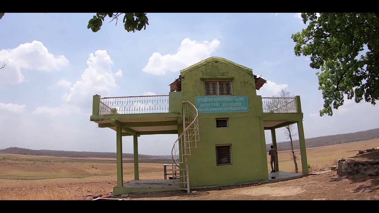 Ratapani Wildlife Sanctuary - Short Documentary