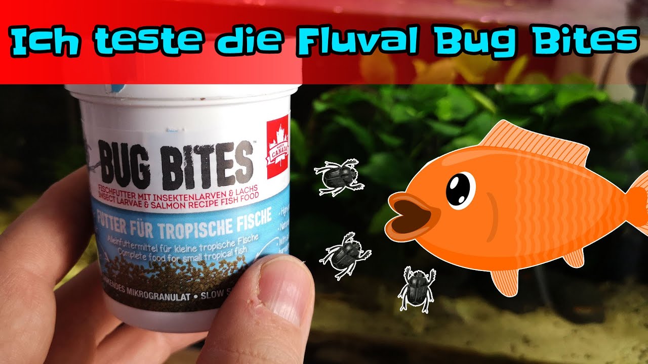 fluval bug bites petsmart