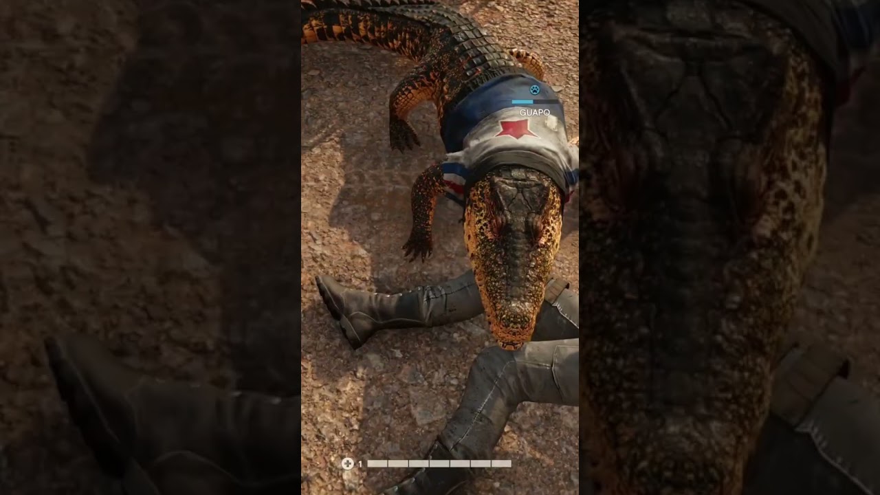 when your pet alligator has you covered 