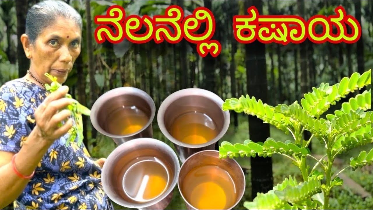 Nelanelli Kashaya | ನೆಲನೆಲ್ಲಿ ಕಷಾಯ | Village style cooking #mangalore #kudla #tulu #tulurecipe  