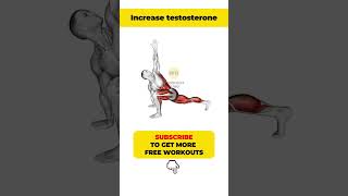 How to increase testosterone