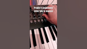 Prophet 6 sequence | melodic house