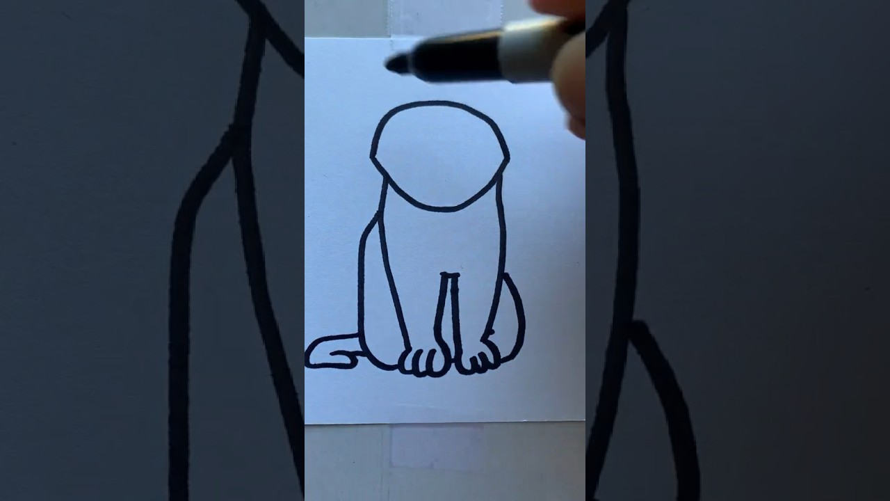 What should I do next? 