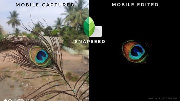 How to get perfect black background to any image using snapseed| Tutorial part 2| Snapseed tricks
